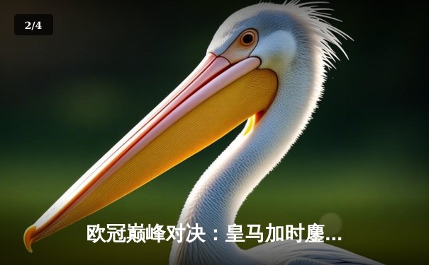 欧冠巅峰对决：皇马加时鏖战3-2逆转拜仁，维尼修斯双响贝林厄姆绝杀 - 2